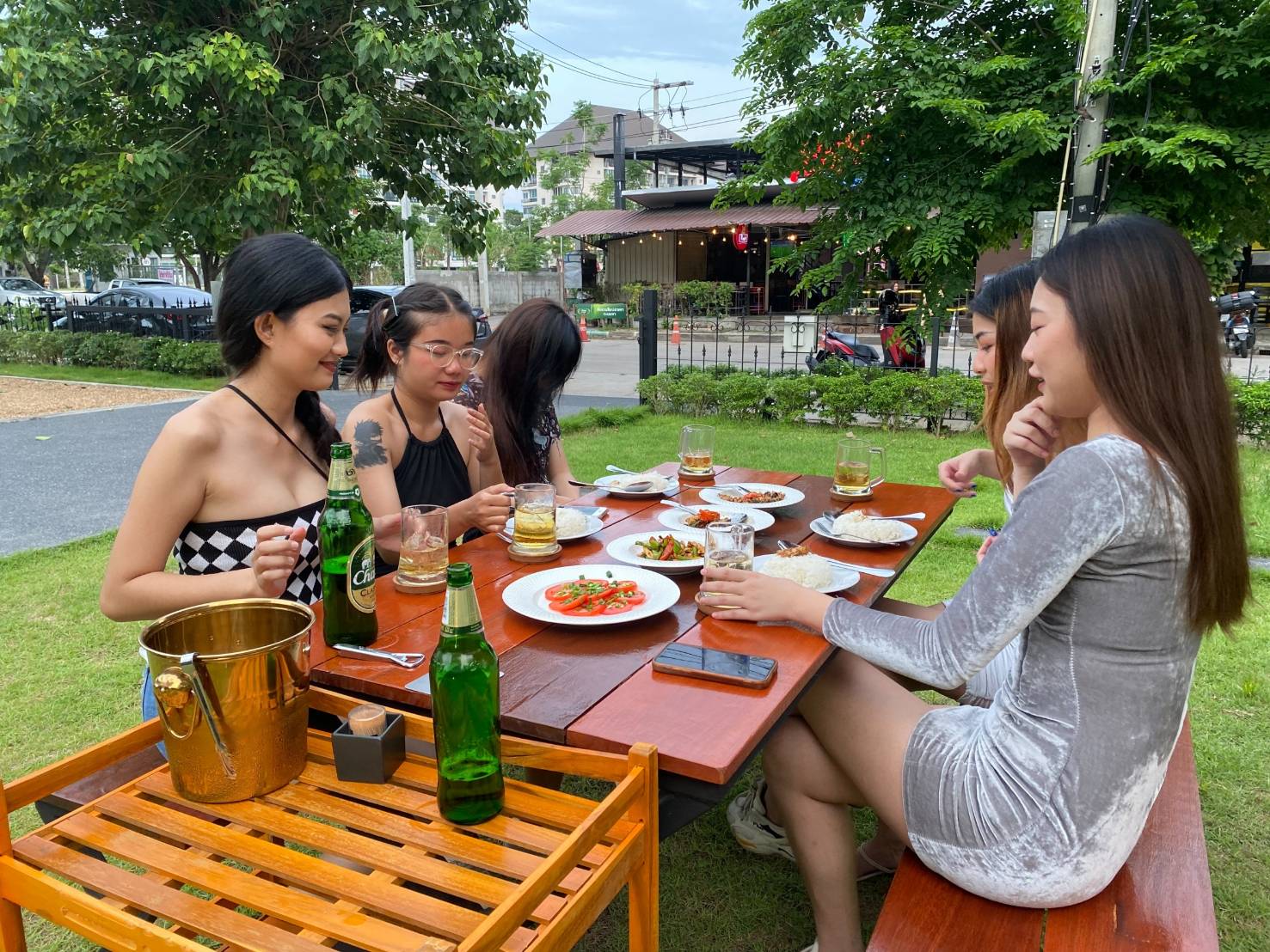 Dog friendly in chiang mai