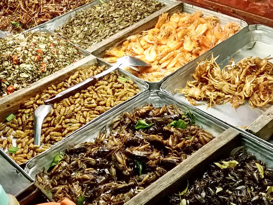 Look for busy stalls with high turnover